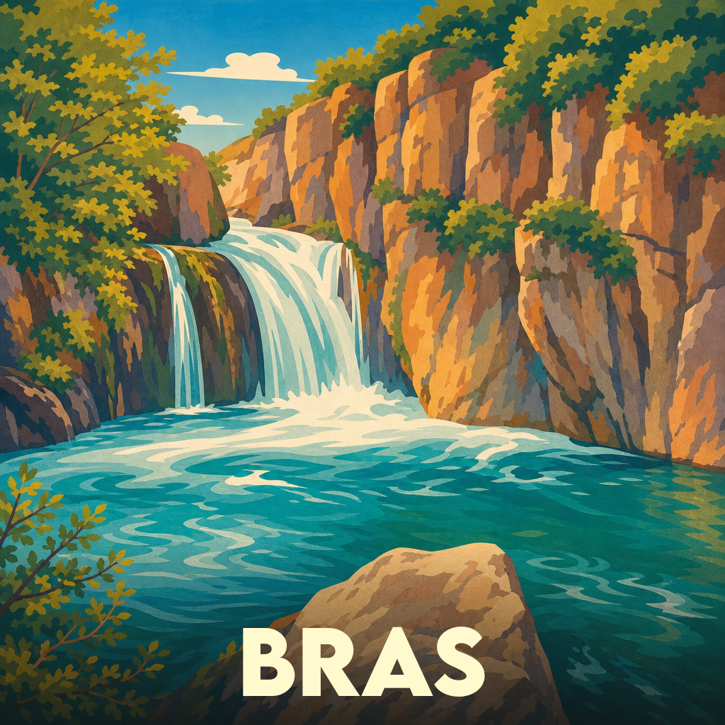 Bras