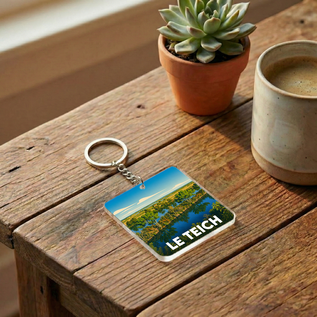Porte-clés souvenir de la ville de Le Teich avec une illustration paysagère stylisée.
